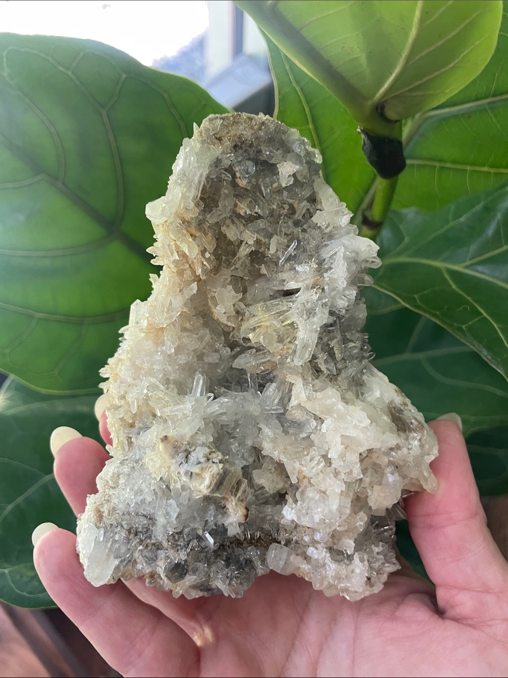 Clear Quartz Crystal Cluster - Natural White and Clear Points